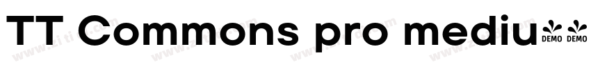 TT Commons pro mediu字体转换
